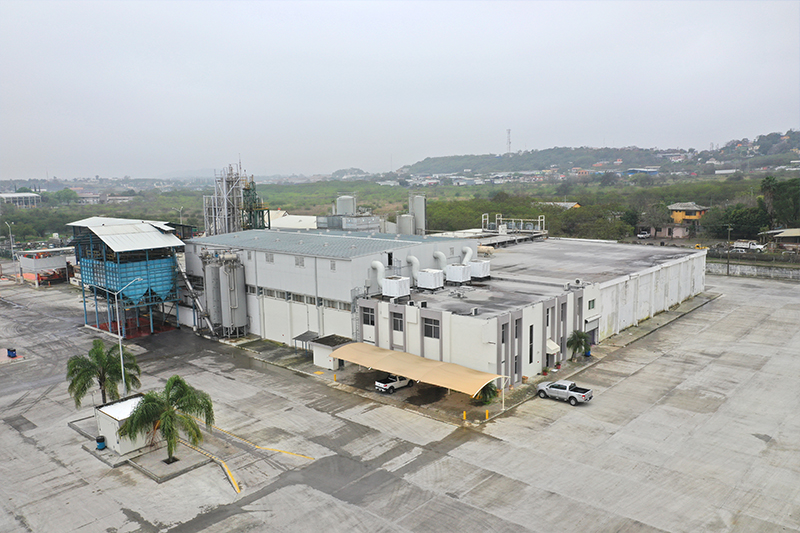 Nuestra Planta Image