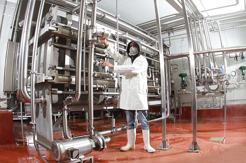 Área de pasteurización Image